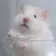 Evan