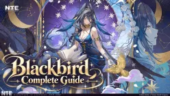 Blackbird Complete Guide: Kit, Mats, Arc, Console, Teams & More