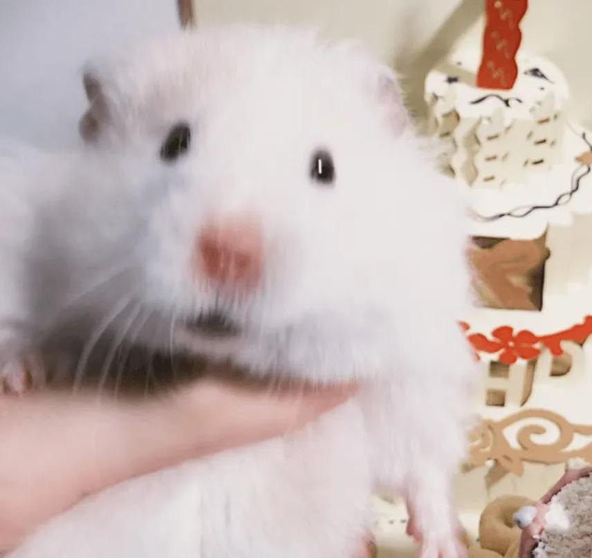 Evan